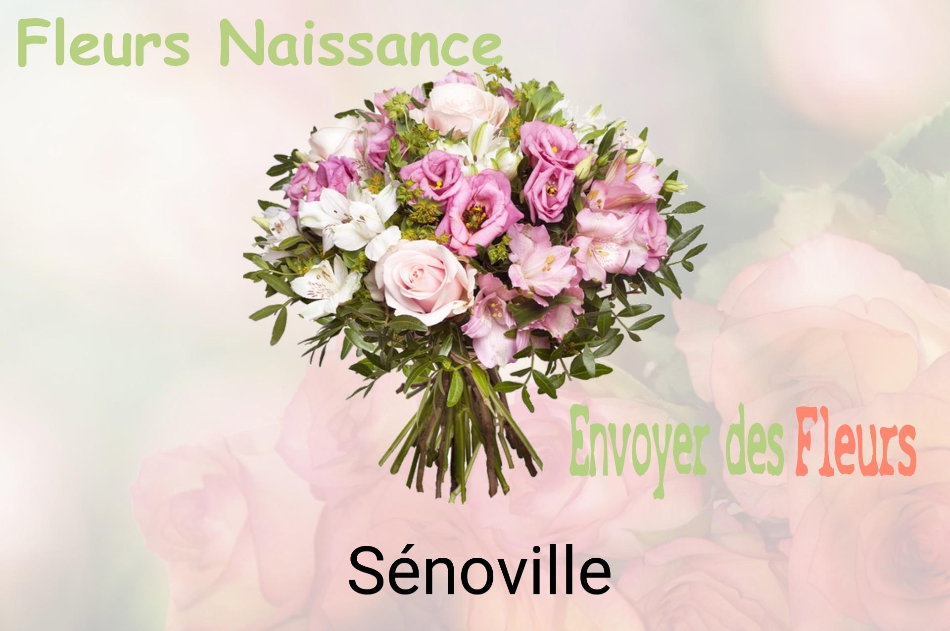 Bouquet de fleurs de naissance livré à Sénoville